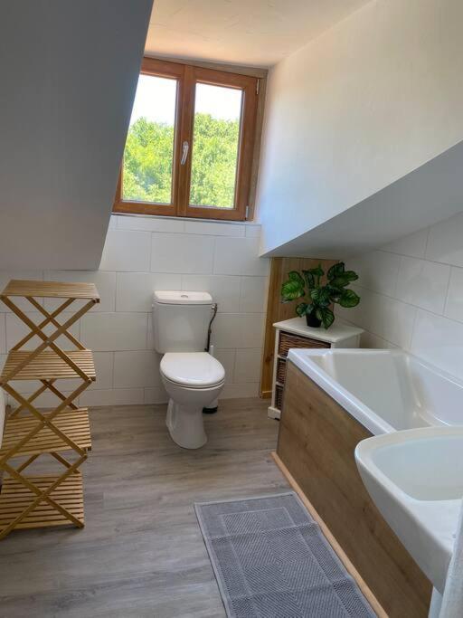 Spacious 1 Bed Home With Shared Pool Champagnac-la-Rivière Exterior photo
